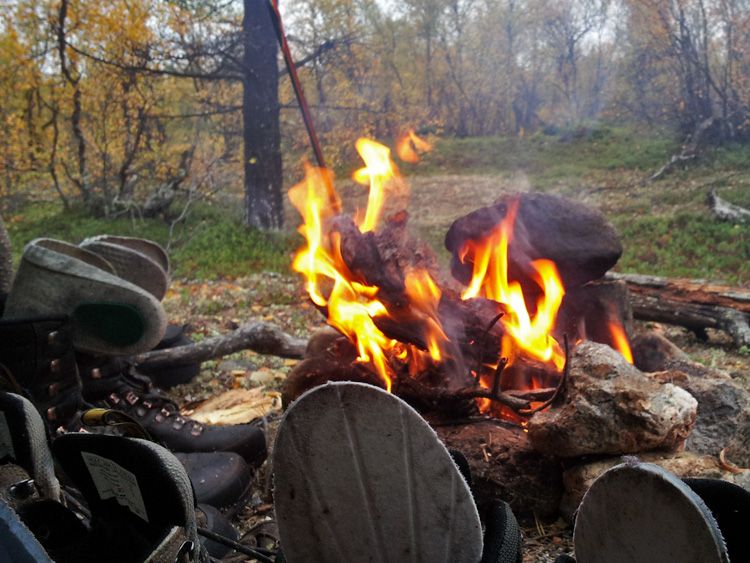 Muotkatunturit 2011