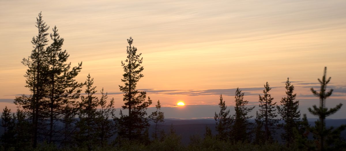 Saariselkä 2008