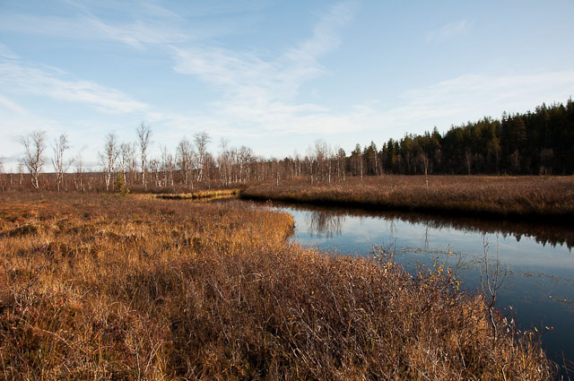 rokuli